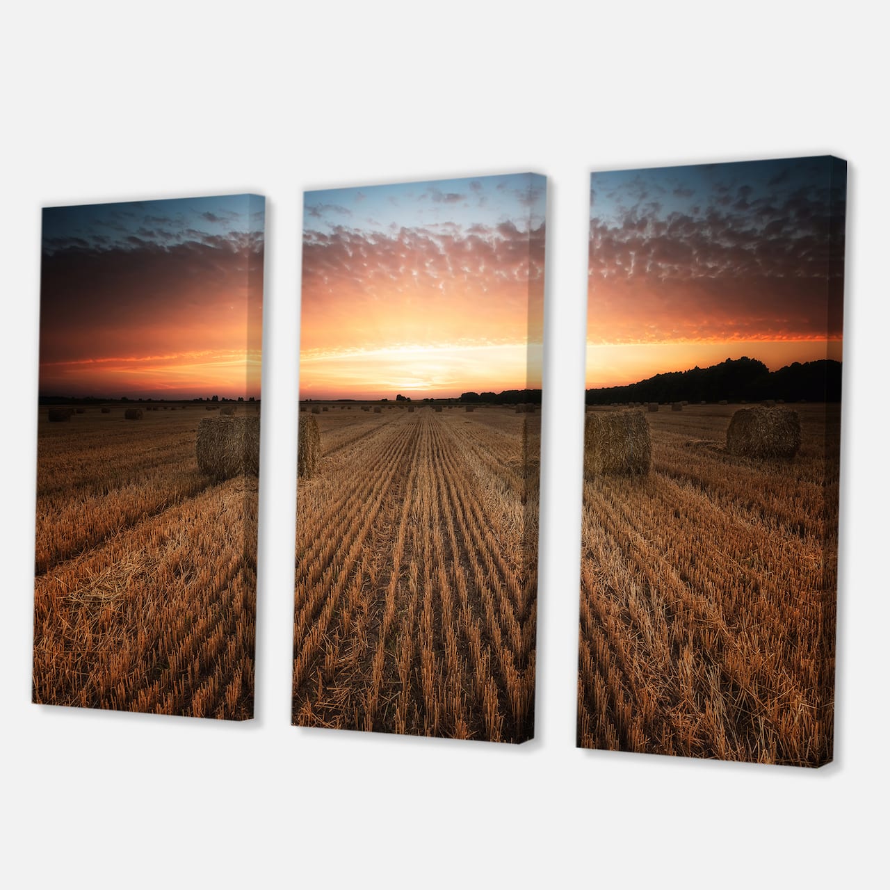 Designart - Landscape With A Field Full of Hay Bales At Sunset - Farmhouse Canvas Wall Art Print